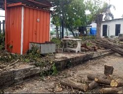 Penebangan Pohon di Lahan Fasum Perumahan PPG 1 Sidoarjo Dikeluhkan Warga