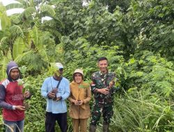 Penanaman Pohon Sukun Upaya Koramil Karanggeneng dalam Mendukung Penghijauan