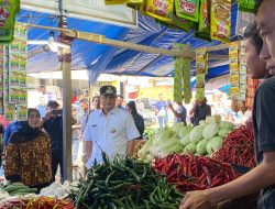 Wakil Ketua DPRD Sulbar Dampingi Pj. Gubernur Pantau Harga Pangan di Pasar Mamuju