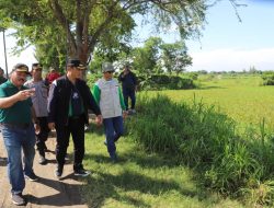 Pj Bupati Jombang Tinjau Galian C Perbatasan Jombang-Kediri