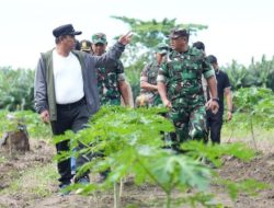 Pj Gubernur Sulbar Tinjau Perkebunan di Beru-beru, Kedepan Pusat Edukasi Ketahanan Pangan