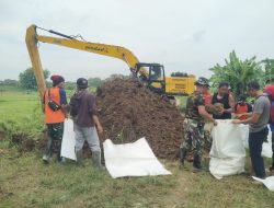 Sigap, Personel Gabungan TNI Polri dan BPBD Lamongan Dalam Perbaikan Tanggul Bengawan Solo yang Jebol