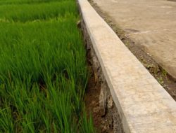 Pemdes Babatan, Ngrambe Ngawi Laksanakan Talud Jalan dengan baik