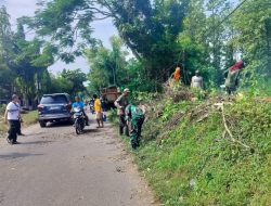 Babinsa Koramil 0812/16 Laren Laksanakan Kerja Bakti Pemangkasan Pohon Pinggir Jalan