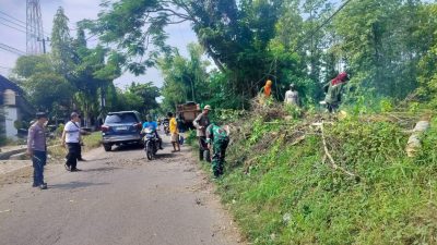 Babinsa Koramil 0812/16 Laren Laksanakan Kerja Bakti Pemangkasan Pohon Pinggir Jalan
