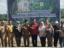 BPDAS Lakukan Penanaman Mangrove di Padang Pariaman