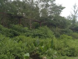Temukan Belasan Proyek Berkesan Mangkrak DPD Lira  Selayar Sulsel Desak APH Lakukan Penyelidikan