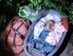 Banyak yang Ingin Adopsi Bayi yang Dibuang di Jombang, Dinsos Serahkan ke UPT PPSAB Sidoarjo
