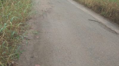 Jalan Kabupaten Desa Banua Rantau Rusak, Masyarakat Menunggu Perbaikan