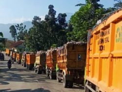 Antisipasi Pohon Tumbang dan Sampah Menumpuk, DLH Tegal Usulkan Penambahan Mobil Crane dan Dump Truk
