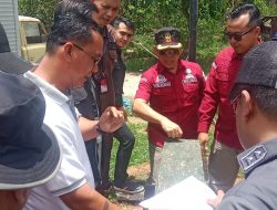Satgas PKH Mulai Tertibkan Kebun Sawit di Sumbar