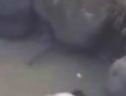 Warga Geger Temukan Mayat Sudah Membengkak di Curug Kali Sawah, Pemalang