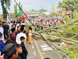 Pemalang Berduka, Saat Salat Idulfitri Pohon Beringin Roboh Menimpa Jemaah