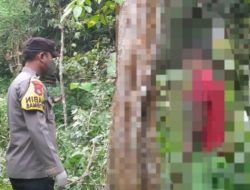 Respon Cepat Polsek Kalukku Polresta Mamuju Datangi TKP Penemuan Mayat Diduga Gantung Diri di Kebun