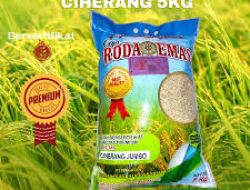 Diduga Ada Pungutan Biaya Bantuan Benih Padi kepada Para Petani di Desa Cepoko, Ngrambe, Ngawi