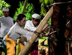 Bupati Badung Tanam Pohon Bodhi sebagai Pelestarian dan Ketahanan Ekologis