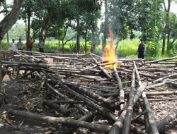 Patroli Gunakan Drone, Polres Pasuruan Kota Temukan Lokasi Sabung Ayam Ilegal di Nguling