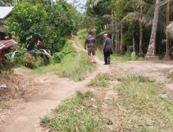 PPP Komitmen Perjuangkan Pemekaran demi Pembangunan Merata