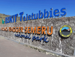 Peran Aktif Dishub Provinsi Jatim dalam Integrasi Transportasi dan Wisata di Kawasan Taman Nasional Bromo Tengger Semeru