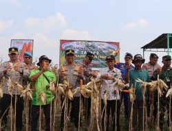 Sinergitas Masyarakat Desa Brekat, Kecamatan Tarub, Tegal dan Pemerintah Ciptakan Ketahanan Pangan