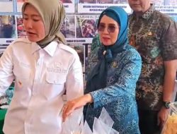 Wabup Lahat Widia Ningsih Tinjau Stan Pameran PKK Camat Merapi Barat