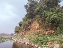 Tanggul Bengawan Solo di Dusun Sepreh Selopuro Mangkrak, Ancaman Longsor dan Banjir Mengintai Warga