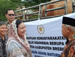 Bupati Brebes Serahkan Sapi Kurban Presiden ke Takmir Masjid Baiturrohim