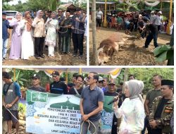 Wabup Lahat Widia Ningsih Serahkan 3 Ekor Hewan Kurban ke PCNU