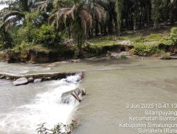 Terjadi di Lahan HGU PTPN IV Reg I Kebun Marihat, Tangkahan Batu Padas Bebas Beroperasi Tanpa Izin