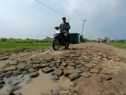 Jalan Di Mlaras Sumobito Jombang Rusak Parah