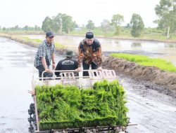 Bahrul Ilmi Menggagas Batola Bangun Tanggul Seluas 5 Ha