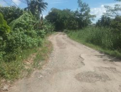 Kondisi Ruas Jalan RT 02 dan RT 05 Desa Sungai Anyar Banua Lawas, Tabalong, Longsor