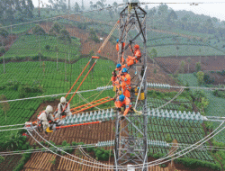 Peningkatan Pendapatan Dorong PLN Masuk Fortune Global 500