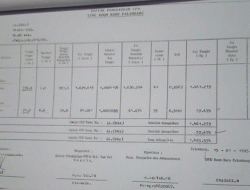 Terkuak Dugaan Manipulasi Pajak Ekspor Minyak Sawit PT. SAP, Laporan Rahasia Bongkar Skema Puluhan Tahun