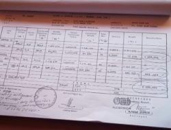 Menyibak Dugaan Manipulasi CPO, Jejak Kerja Sama PT. SAP dan Jaringan Perusahaan hingga Singapura