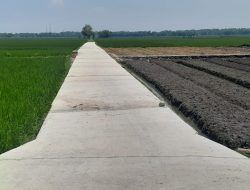 Pemdes Kedungprahu Ngawi Percepatan Infrastruktur Sudah Dilaksanakan 100 Persen