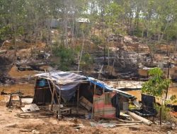 DPRD Sumsel Dorong Minyak Tradisional Muba Dikelola Koperasi