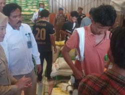 Stok Gabah Petani Lahat Melimpah, Tapi Bulog Stop Beli Gabah Petani. Ini Kata DPRD Sumsel