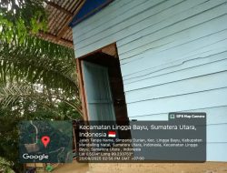 Darlanyah Lubis PP Lingga Bayu Desak Tutup Kafe yang Buka Sampai Dini Hari di Desa Simpang Durian, Kabupaten Mandailing Natal