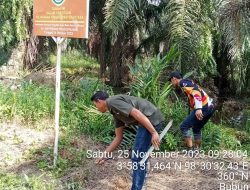 Kejati Sumut Telah Menyita 210 Ha Milik Akuang, Tapi Bebas Panen. Ada Apa BBKSDA Sumut?