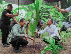 Peresmian Ketahanan Pangan Nusakambangan dan Penanaman Pohon Kelapa di Seluruh Indonesia, Wabup: Pohon Kelapa Sangat Berguna Bagi Masyarakat Kabupaten Badung