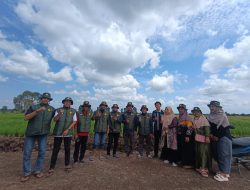 Tanam Serentak, BP Pemuda Tani Dukung Program Ketahanan Pangan