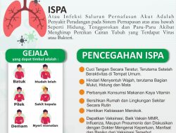 Ketika Polusi, Mobilitas, dan Kelalaian Publik Kian Menyesakkan Napas Warga Kota Banjarbaru