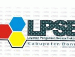 Tender Rp5 Miliar di Banyuasin Diduga ‘Diatur’, Pemenang Menang Tipis Tak Sampai Satu Persen dari HPS