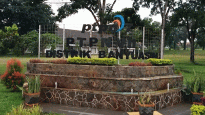 Warga di Banyuasin dan Muba Menyoal Dugaan PTPN 4 Regional 7 Kuasai 545 Hektare Kawasan Hutan Tanpa Izin