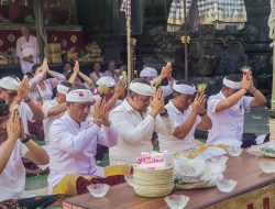 Wabup Badung Bagus Alit Sucipta Ikuti Tradisi Metimpugan Tipat Bantal di Pura Desa dan Puseh Padang Luwih