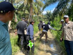 Disbun Sulbar Bersama Tim Ditjenbun Kementan RI Laksanakan Verifikasi Lapangan Kelompok Tani di Mateng ‎