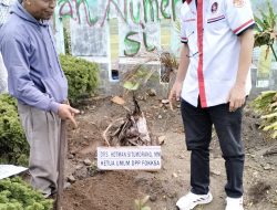 FOKKSA Tanam 3.000 Pohon Berbuah di Sianjur Mula Mula, Dorong Ekonomi dan Pelestarian Alam