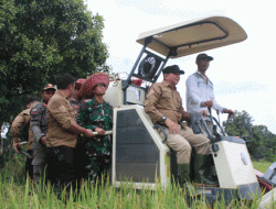 Pemkab Barito Timur Panen Raya Padi Hibrida di Desa Lebo, Bupati M. Yamin Sampaikan Pesan Penting