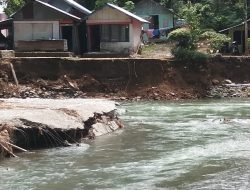 Bendungan Lubuak Jambu Ambruk Diterjang Galodo, Ratusan Hektare Sawah Terancam Gagal Panen